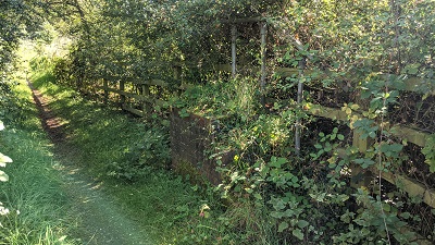 Bushey 51