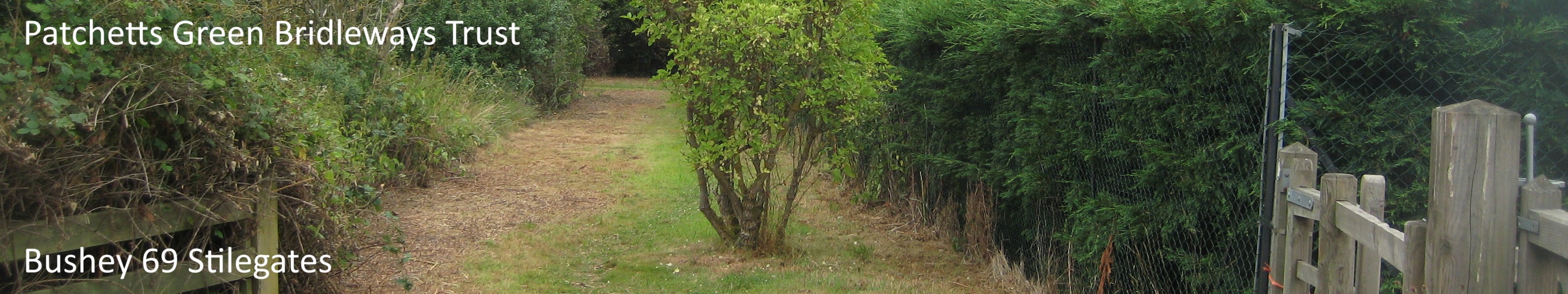 Bushey 69 image