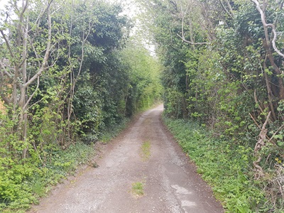Photograph of Caddington 40 from 2019
