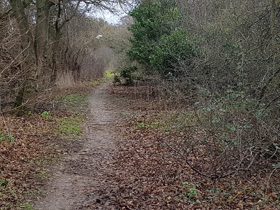 Photgraph of Chalton 10 byway