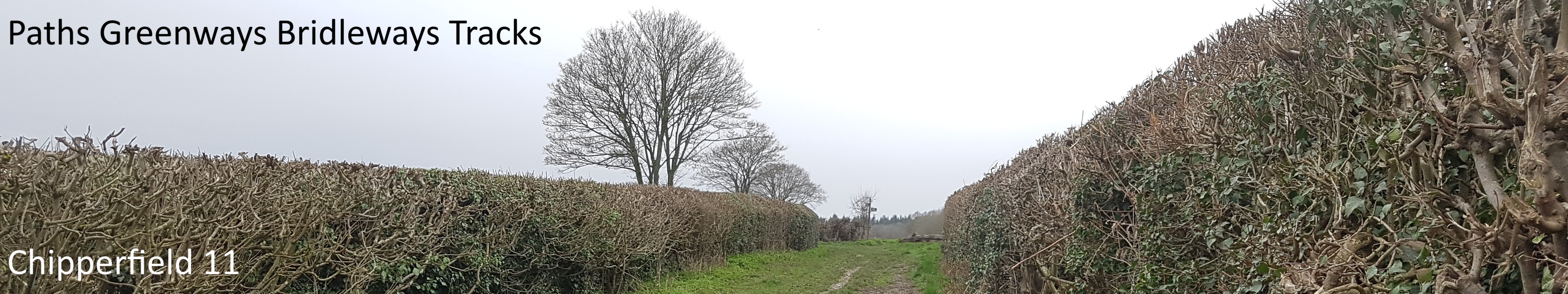 image of Chipperfield 11 bridleway taken in 2023 showing path between hedges