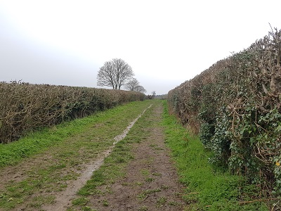 Photo of Chipperfield 11 heading southwestwards