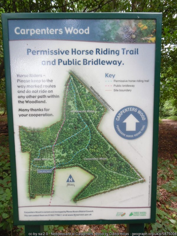Sign in the Woods