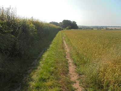 Clothall Lane