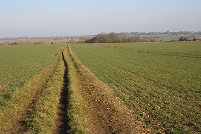 Photograph of Clothall 30 bridleway