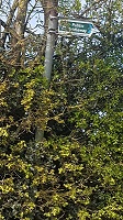Codicote 24 sign in Nup End