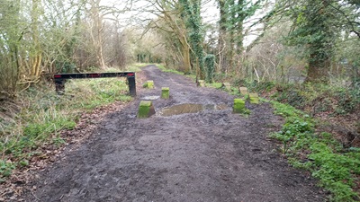 Photograph of Hixberry Lane, Colney Heath 54