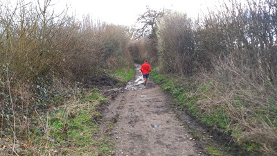 Photograph of Hixberry Lane, Colney Heath 54
