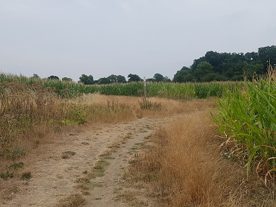 Photograph of Colney Heath 57 permissive bridleway