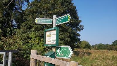 Path Across Moor