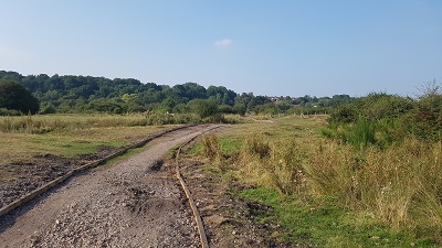 Path Across Moor