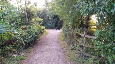 Photograph of Datchworth 11