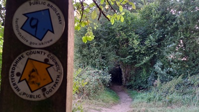 Photograph of Datchworth 11 and Woolmer Green 9