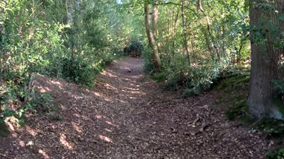 Photograph of Datchworth 13