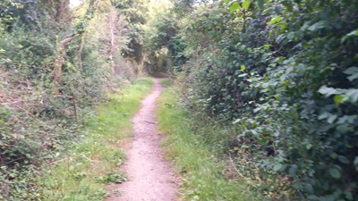 Photograph of Datchworth 26