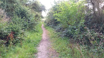 Photograph of Datchworth 26