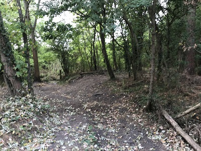 Photograph of Tykeswater Lane