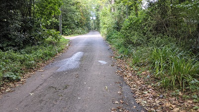 Photograph of Edgewarebury Lane