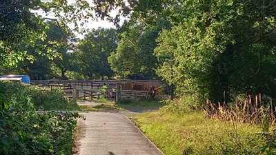 Photograph of Enfield 125 bridleway