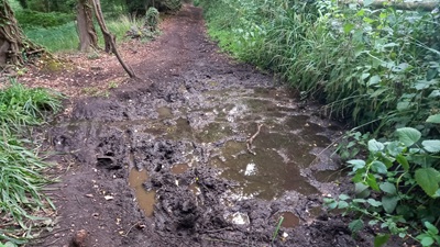 Photograph of Enfield 330 bridleway looking south