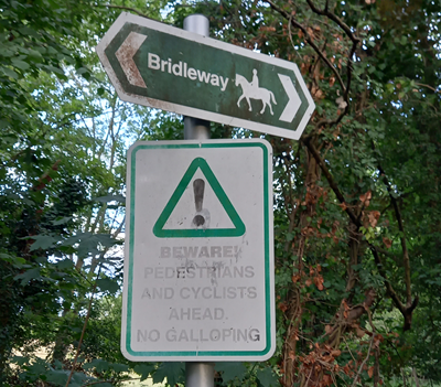 Photograph of Enfield 330 bridleway looking southwest