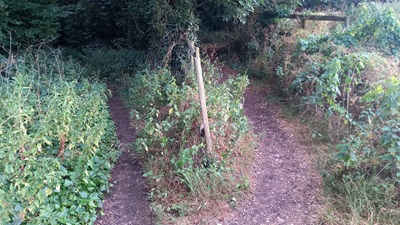Photograph of Enfield 330 bridleway looking southwest