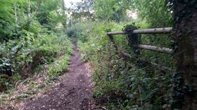 Photograph of Enfield 330 bridleway looking southwest