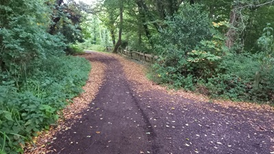 Photograph of Enfield 7 bridleway looking north