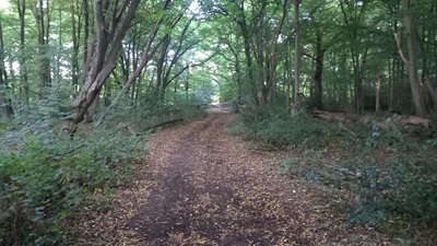 Photograph of Enfield 7 bridleway looking north