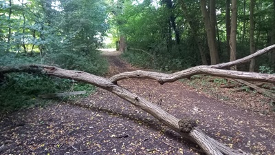 Photograph of Enfield 7 bridleway looking north