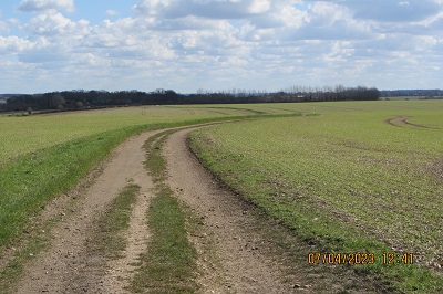 Photograph of Flamstead 39