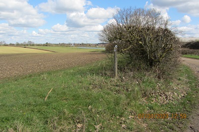 Photograph of Flamstead 39