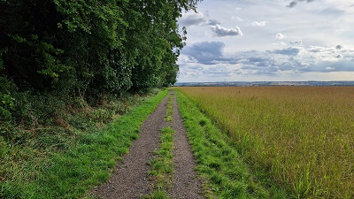 Photograph of Graveley 8 bridleway heading southwestwards