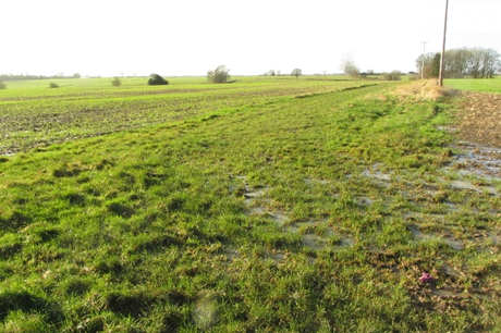 Photograph of Great Gaddesden 52 restricted byway