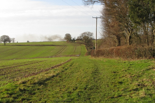Photograph of Great Gaddesden 52 restricted byway
