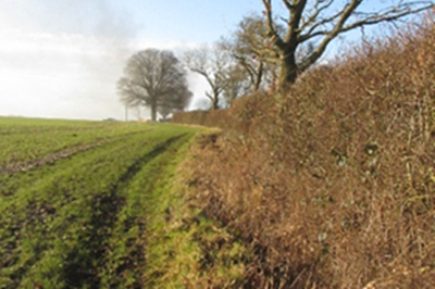 Photograph of Great Gaddesden 52 restricted byway
