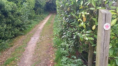 Photograph of Great Munden 35