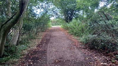 Photograph of Great Munden 35