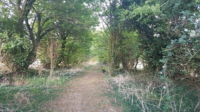 Photograph of Great Munden 4, part way along, looking northwards