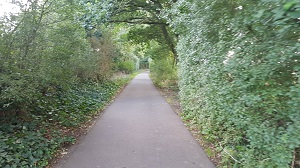 Looking SW along path
