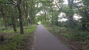Looking SW along path