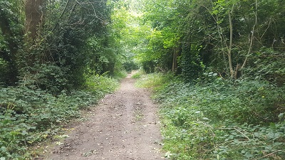 Hemel Hempstead 128