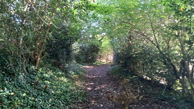 Photograph of Hemel Hempstead 20