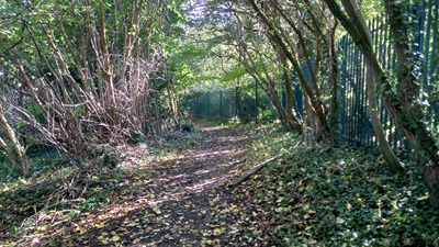 Photograph of Hemel Hempstead 20