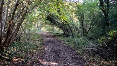 Photograph of Hemel Hempstead 20