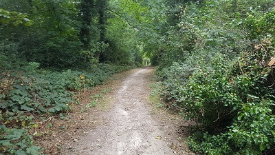 Hemel Hempstead 7