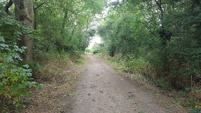 Hemel Hempstead 7