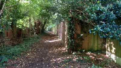 Photograph of Hemel Hempstead 90