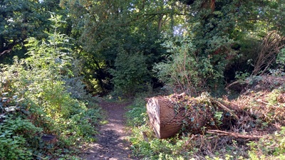 Photograph of Hemel Hempstead 90