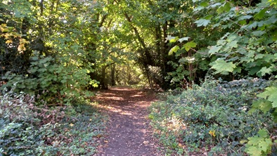 Photograph of Hemel Hempstead 90